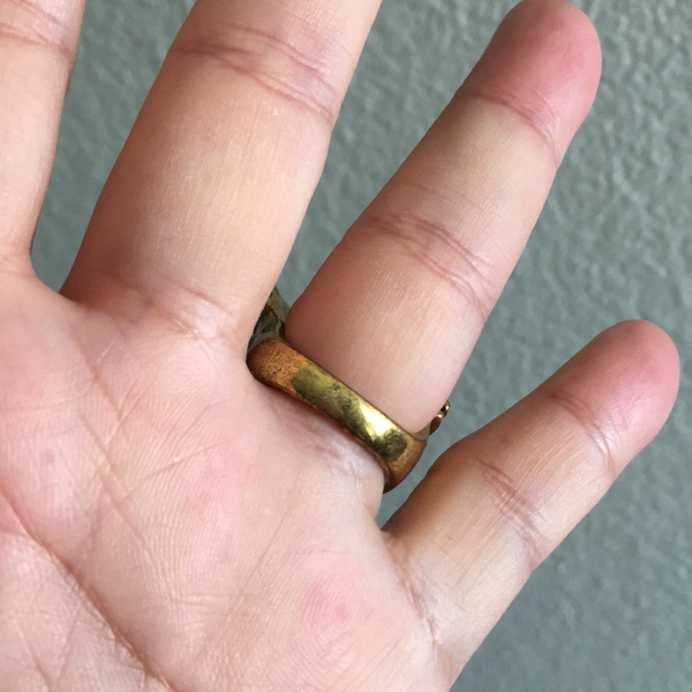 Elephant Ring - image 7